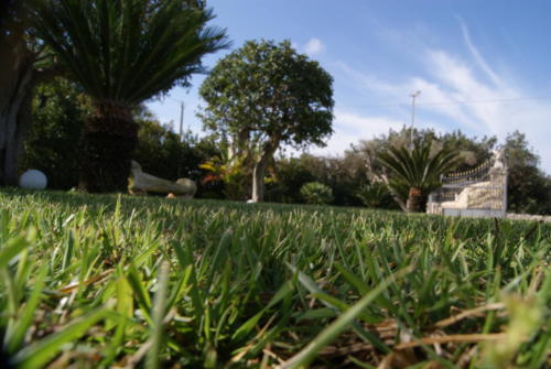 SONY DSC