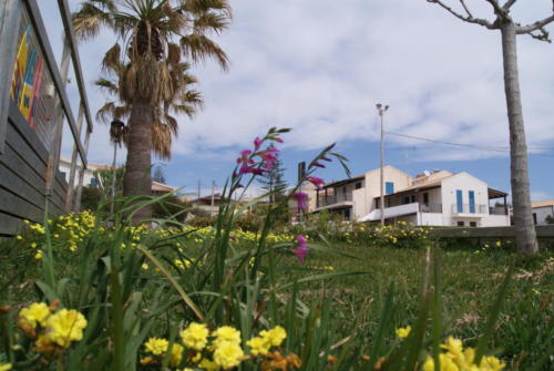 SONY DSC